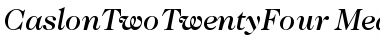 ITC Caslon 224 Medium Italic Font