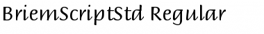 Download Briem Script Std Font