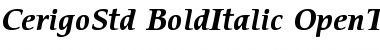 ITC Cerigo Std Bold Italic Font