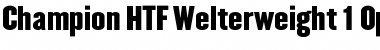 Champion HTF-Welterweight Font