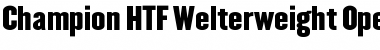 Champion HTF-Welterweight Font