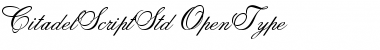 Citadel Script Std Regular Font