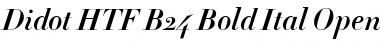 Didot HTF-B24-Bold-Ital Font