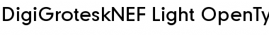 DigiGroteskNEF-Light Regular Font