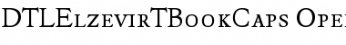 DTLElzevirTBookCaps Regular Font