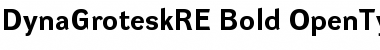 DynaGrotesk RE Bold Font