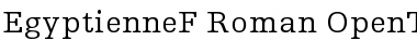 Egyptienne F 55 Roman Font