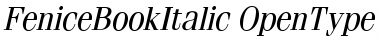 Fenice BookItalic Font