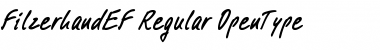 FilzerhandEF Regular Font