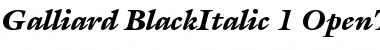 ITC Galliard Black Italic Font