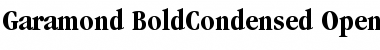 ITC Garamond Bold Condensed Font