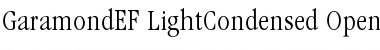 GaramondEF LightCondensed Font