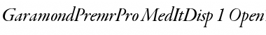 Garamond Premier Pro Medium Italic Display Font