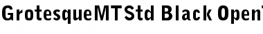 Grotesque MT Std Black Font