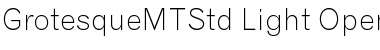 Grotesque MT Std Light Font