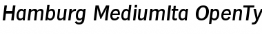 Hamburg-MediumIta Regular Font