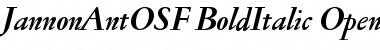 Jannon Ant OSF Bold Italic Font