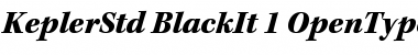 Kepler Std Black Italic Font