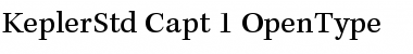 Kepler Std Caption Font