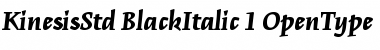 Kinesis Std Black Italic Font