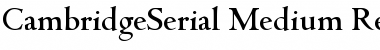 CambridgeSerial-Medium Regular Font