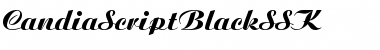 CandiaScriptBlackSSK Regular Font