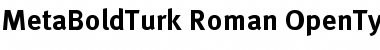 MetaBoldTurk Roman Font