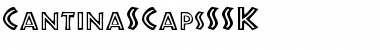 CantinaSCapsSSK Regular Font