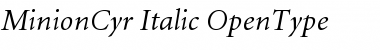 Minion Cyrillic Italic Font