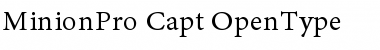 Minion Pro Caption Font
