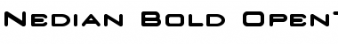 Nedian Bold Font