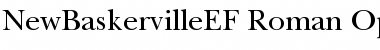 NewBaskervilleEF Roman Font