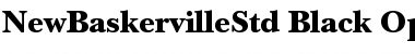 ITC New Baskerville Std Blk Font