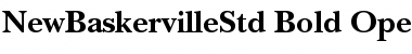 ITC New Baskerville Std Bold Font