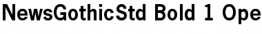 News Gothic Std Bold Font