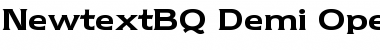 Download Newtext BQ Font