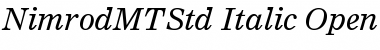 Nimrod MT Std Italic Font