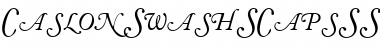 CaslonSwashSCapsSSK Italic Font