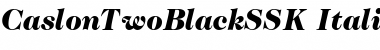 Download CaslonTwoBlackSSK Font