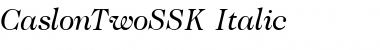 Download CaslonTwoSSK Font