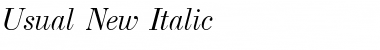Usual New Italic Font