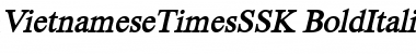 Download VietnameseTimesSSK Font