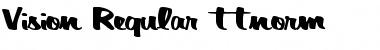 Vision Regular Font