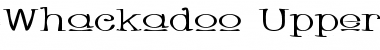 Whackadoo Upper Wide Regular Font