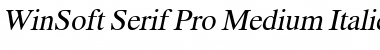 WinSoft Serif Pro Font