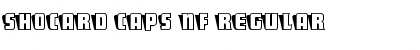 Download ShoCard Caps NF Font