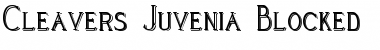 Cleaver's_Juvenia_Blocked Regular Font
