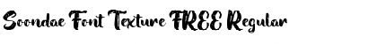 Download Soondae Font Texture FREE Font