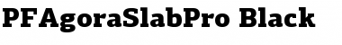 PF Agora Slab Pro Black Font