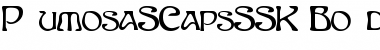 PlumosaSCapsSSK Bold Font